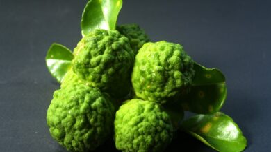 Bergamot